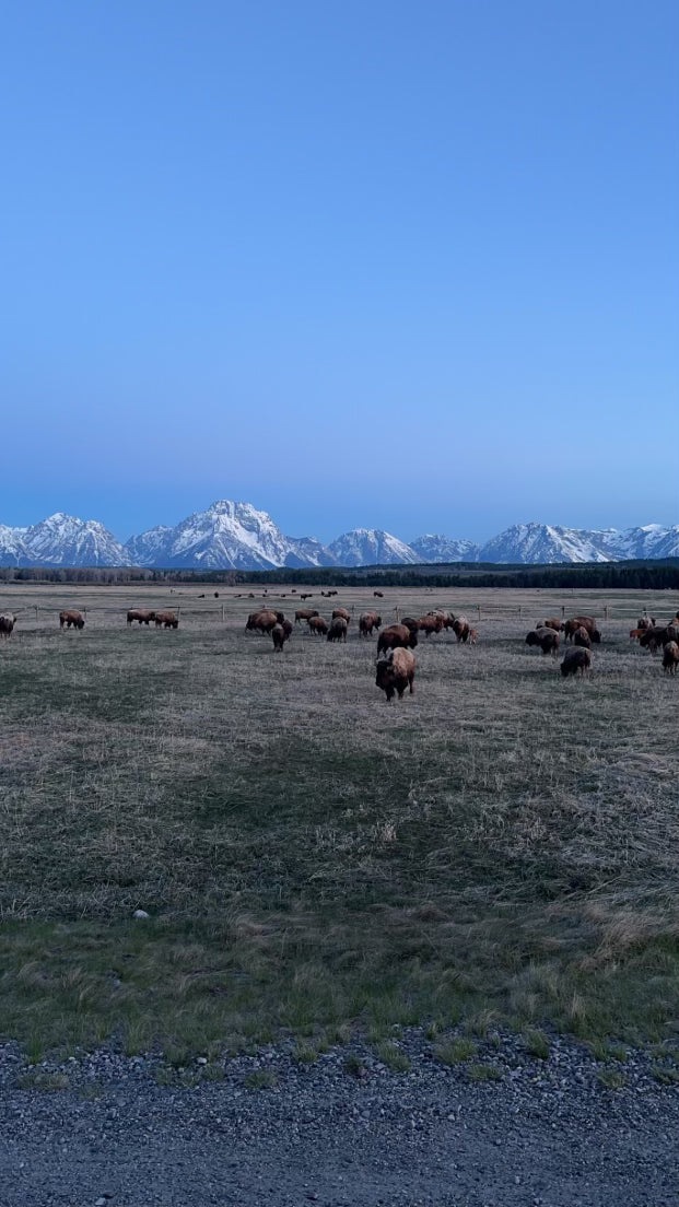 001 - Teton Blue